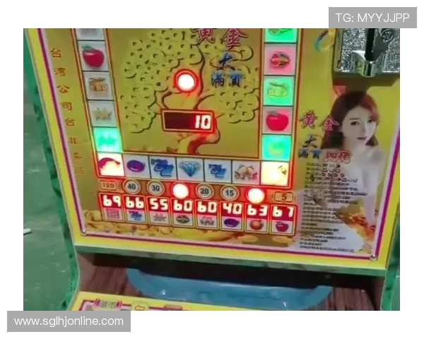 选择优质老虎机网络游戏平台的五大关键因素详解